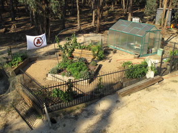 Photo of organic garden