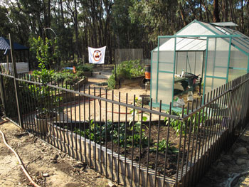 Photo of organic garden 2